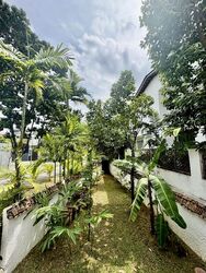 Arthur Road (D15), Detached #524077671